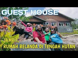 Wisata alam di bukit lawang, bahorok sumatera utara. Tasnan Forest Bondowoso Jawa Timur Travelerbase Traveling Tips Suggestions