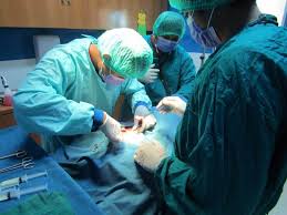 Kasih ibu general hospital kedonganan | госпиталь касих ибу в кедонганане jl. The Bali Bible Kedonganan Veterinary