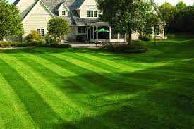 Lawn Striping Your Front Lawn With Straight Lines Turns Your Outdoor Space Into Something Special Lawn Striping Front Lawn Grass Pattern