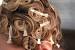 Plastic Curl Clips