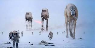 Top 100 Star Wars Dog Names Dog Names Grey Hound Dog War Dogs