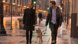 Qui garde le chien bande annonce. Test Dvd Qui Garde Le Chien Critique Film