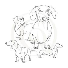 Download Dachshund Sketch Svg Dxf Dogs Drawing Craft Genesis
