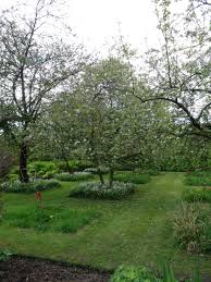 Garten Ideen Den Garten Zu Gestalten Garten Gartnern Gartenideen Den Garten Gartenideen A View In In 2020 Orchard Garden Fruit Garden Design Fruit Garden