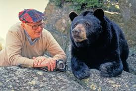 The Adorable North Carolina Story Of Mildred The Bear