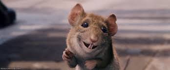 Some chihuahuas do catch mice. Manuel Disney Wiki Fandom