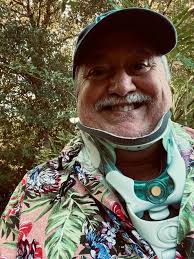 Spring landscaping at home: First up The Pavers and Shrubbery Removal!