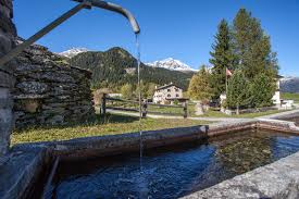 Selva is the main population center of the. Poschiavo Selva Wanderung Outdooractive Com