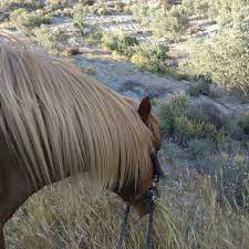 Check spelling or type a new query. Finca Los Prados Home Facebook
