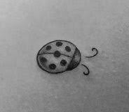 Black And White Ladybug Tattoo Ideas Inspiracao Tattoo Lady Bug Tattoo Bug Tattoo Ladybird Tattoo