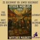 Other Worlds 2025 Full Moon Market - Lower event image