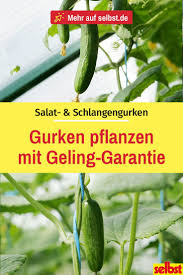 Pin Auf Garten