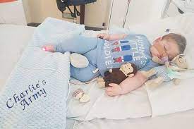 Charlie gard will be buried with his cuddly toy monkeys, his family has said. Charlie Gard To Be Buried With His Beloved Cuddly Toy Monkeys Parents Reveal
