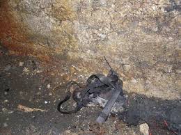 Galerija: - Žurnal24