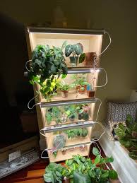 We did not find results for: Set Up Built A Little Grow Light Set Up To Carry My Plants Through Winter Gotta Hide The Cords Still Still Not Sure If They Ll Still Go Dormant Or What I M Happy Either