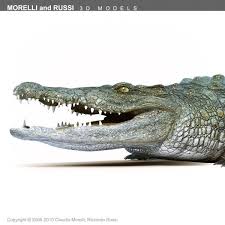 Crocodile Alligator 3d Model Ad Crocodile Alligator Model Crocodile Alligator 3d Model