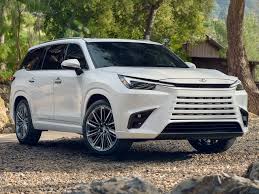 Image result for Wind Chill 2024 TX