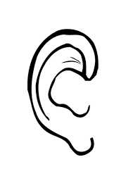 Coloriage oreille - Coloriages Gratuits à Imprimer - Dessin 9527