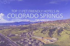 1813 n union blvd, colorado springs, co 80909. Top 11 Pet Friendly Hotels In Colorado Springs 2021 Wow Travel