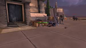 This is a quick guide on how to get the reins of the grey riding camel! Mystery In The Shifting Sands A Grey Riding Camel Guide Guides Wowhead