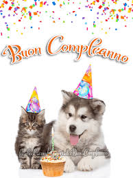 Auguri Di Buon Compleano Buon Compleanno Buon Compleanno Compleanno Gatti Buon Compleanno Divertente