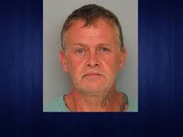 Man sentenced to three years in prison in Hall dog shoo...