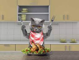 Can Cats Eat Turkey Best Thanksgiving Treat