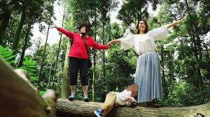 We did not find results for: Ffsgldo8sbjpvm