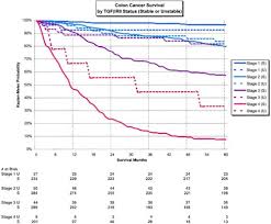 Stage iv cancers don't have a good prognosis as their relative survival rate for 5 years is about 11%. Understanding A Stage 4 Diagnosis Prognosis Scott G Riddle