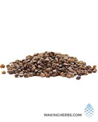 Image result for Argyreia nervosa