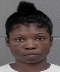 Kayla Mitchell Larceny By Employee