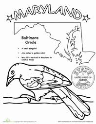 Maryland State Bird Worksheet Education Com Art Lessons Middle School State Birds Bird Coloring Pages