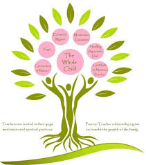 Why Holistic Approach In Education Has Become Mandatory In Almost All Schools Early Childhood Development Childhood Development Early Childhood