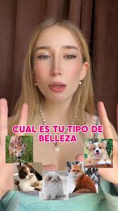 Fox Deer Cat or Bunny Explained