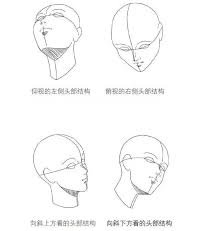They just don't use i learned how to draw anime by myself and what i draw best are thier heads. How To Draw The Head Of All Angles Of Anime Programmer Sought