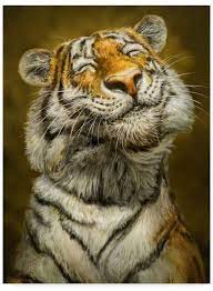 pin by cottagecore cow on tiger in 2021 smiling animals laughing animals animals beautiful
