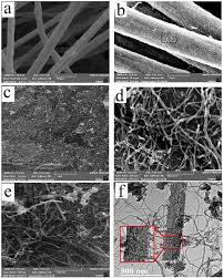 The raw reads and genomes of the novel nitrospinae strai. Heterogeneous Electro Fenton Process By Mwcnt Ce Wo 3 Nanocomposite Modified Gf Cathode For Catalytic Degradation Of Btex Process Optimization Using Response Surface Methodology Springerlink