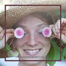 Minnesota Gardening Podcast