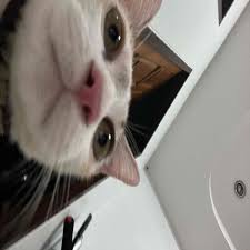 ธัญวลัย | นิยาย นวนิยาย นิยายออนไลน์ เขียนนิยายออนไลน์