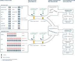 Charting Extracellular Transcriptomes In The Human Biofluid