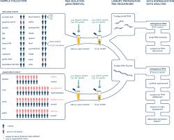 charting extracellular transcriptomes in the human biofluid