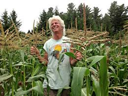 Maybe you would like to learn more about one of these? A Butter Lovers Guide To Growing Corn Maine Organic Farmers And Gardeners
