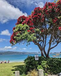 New zealand truly is one of the most picturesque and photogenic places on earth. Cp Jhh Jzumyam