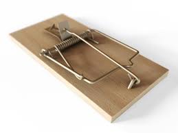 Mouse Trap Mouse Traps Traps Polygon