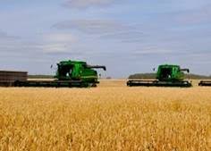 Агробизнес, экологический инжиниринг и биотехнологии. Agrobiznes 2020 Novye Vozmozhnosti Dlya Razvitiya Selskogo Hozyajstva Paragraf Www Mobilnaya Versiya