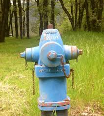 gasquet, ca fire hydrant, fire