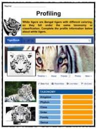 White Tigers Facts Worksheets Habitat Diet Lifecycle