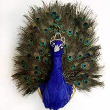 Learn how to do just about everything at ehow. Peacock Taxidermy Faux Taxidermy Animal Head Wall Mount Animal Wall Hanging Unique Home Decor Nurse Faux Taxidermy Animal Head Wall Mount Animal Head Wall