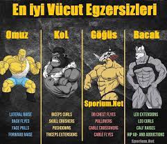 en iyi vucut gelistirme hareketleri vucut gelistirme full body fitness