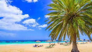 Ontdek gran canaria, tenerife, fuerteventura en lanzarote met sunweb. Canarische Eilanden Vakantie
